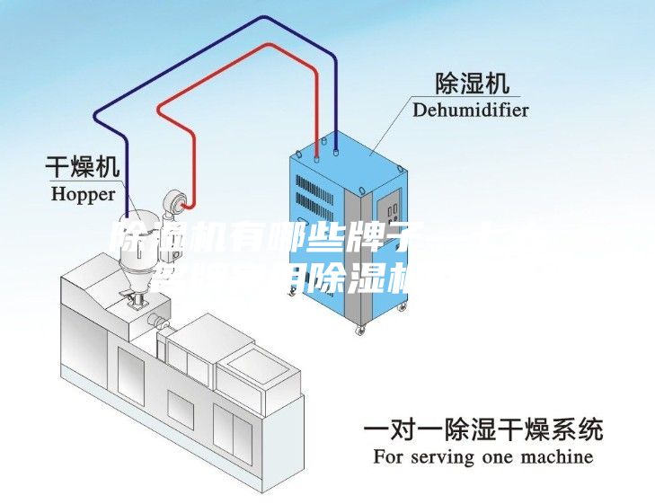 除濕（shī）機有哪些牌（pái）子—七大名牌家用除濕機介紹