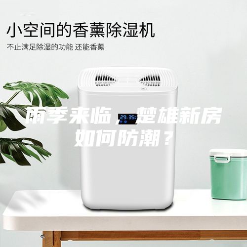 雨季來臨，楚雄新房如何防潮（cháo）？